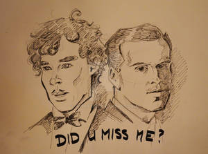 Sheriarty - Did You Miss Me?