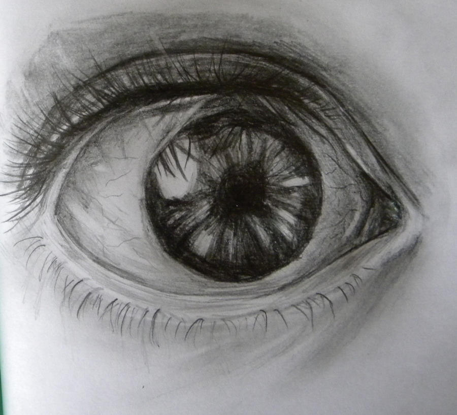 eye