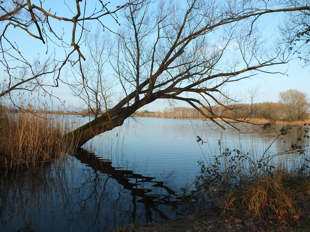 Autumn lake by Simbores