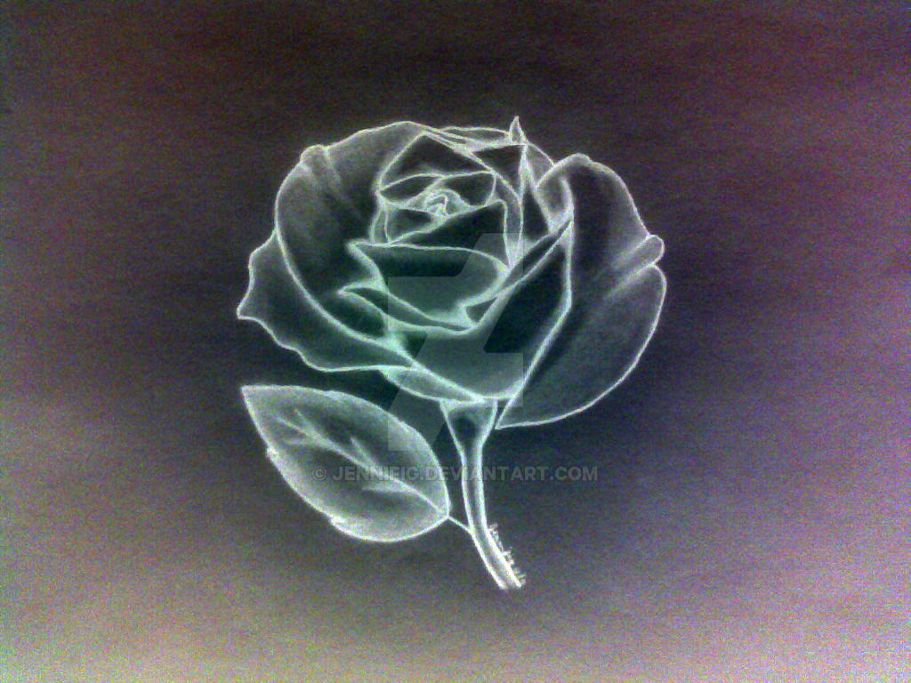 Inverted Rose Pattern Roseinvert by Jennifig on DeviantArt
