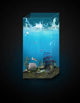 Aquarium Manipulation