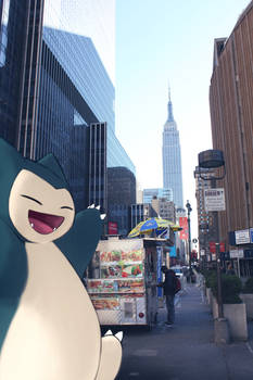 WIld SNorlax in NY