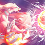 Zekrom vs Reshiram