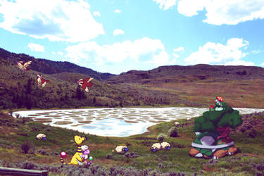 Wild pokemons by Spotted Lake