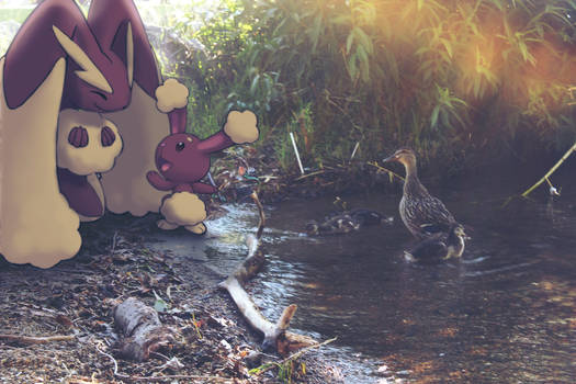 Wild Lopunny and Buneary with