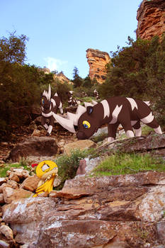 Wild Blitzles and Scraggy in Canyon