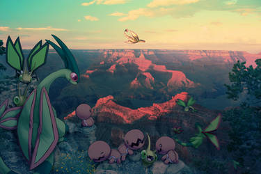 Wild Flygon Families in Grand Canyon