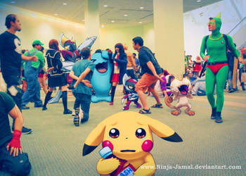 Wild Pokemon Anime Expo 2013 at the hangout floor