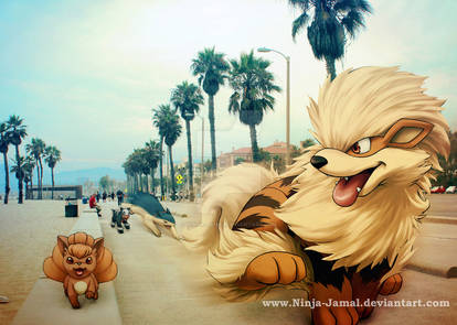 Run!!! WIld Fire Pokemon in LA RUN!!!!