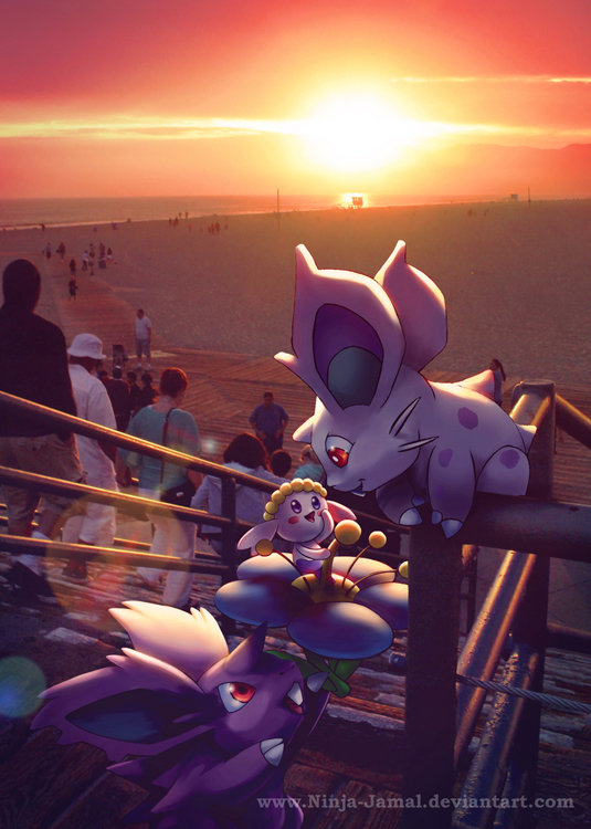 Wild Pokemon with a California Sunset.