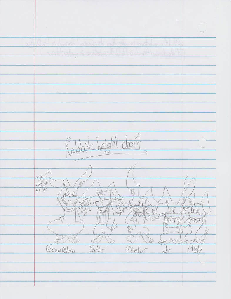 Rabbit Height Chart by Jocelynshi on DeviantArt