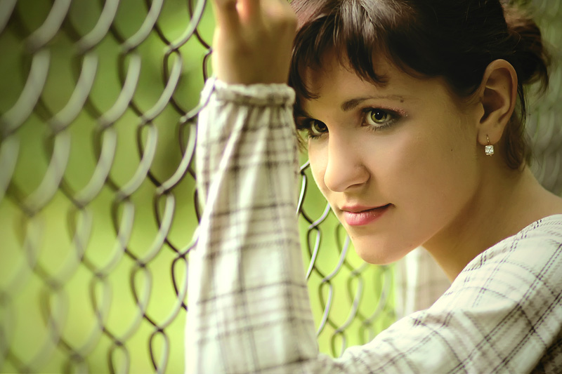 Fence 2