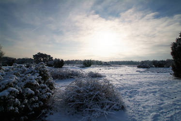 countryside by Buurse, Neth.