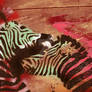 The Kissing Zebras
