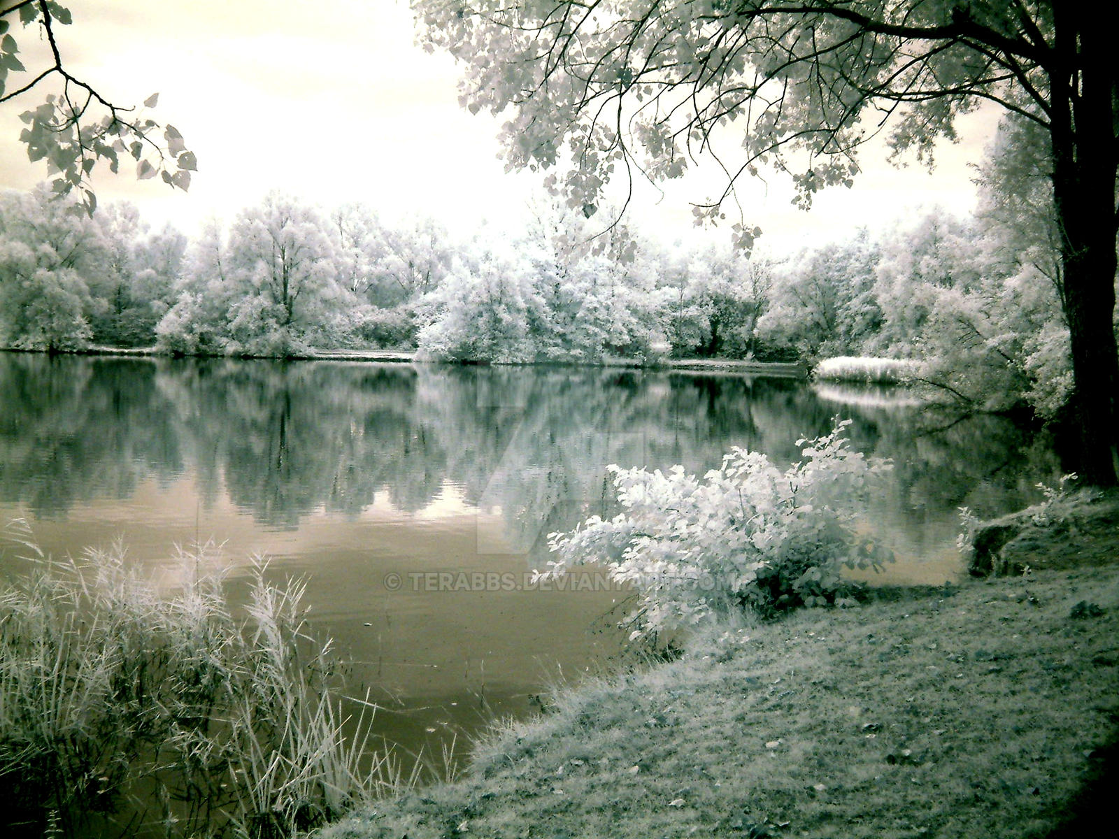 Infra Red (IF) Lake