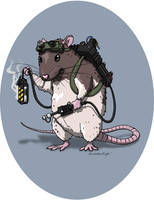 Ghostbuster Rat