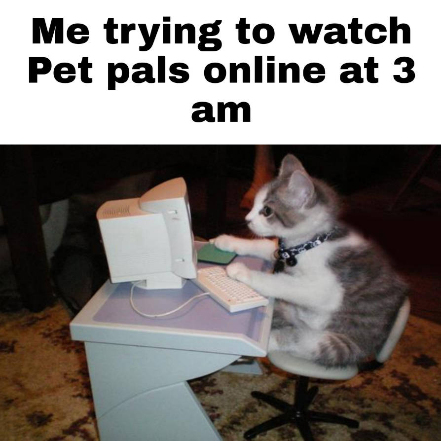 Cute Computer cat meme by Petraprittydog on DeviantArt