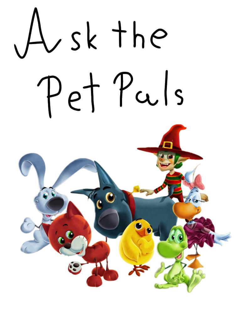 Ask Pets Ask the Pet pals by Petraprittydog on DeviantArt
