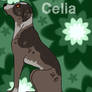 Dog Breeder commission: Celia