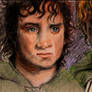 Are You Okay Mr. Frodo?