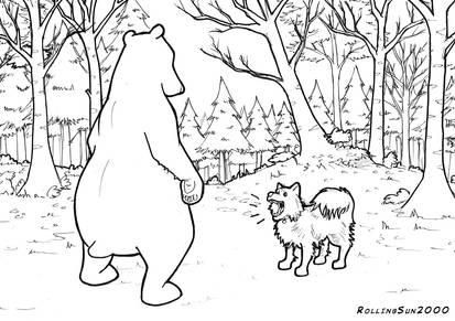Molly vs The Bear