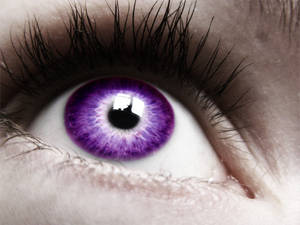 Purple Eye