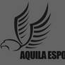 Aquila - eSports - Logo Version 2