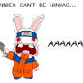 Bunnies cant be ninjas