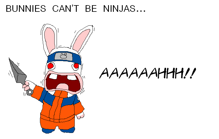 Bunnies cant be ninjas