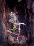 Dark Tree Creature by dischordiasnightmare