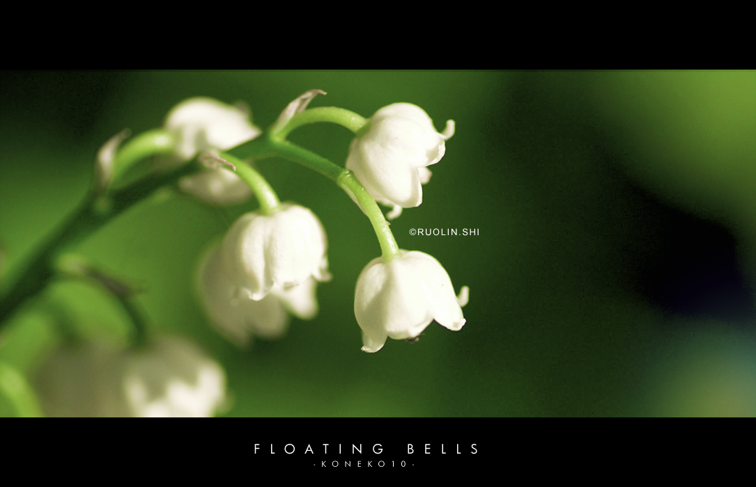 FLOATING.BELLS