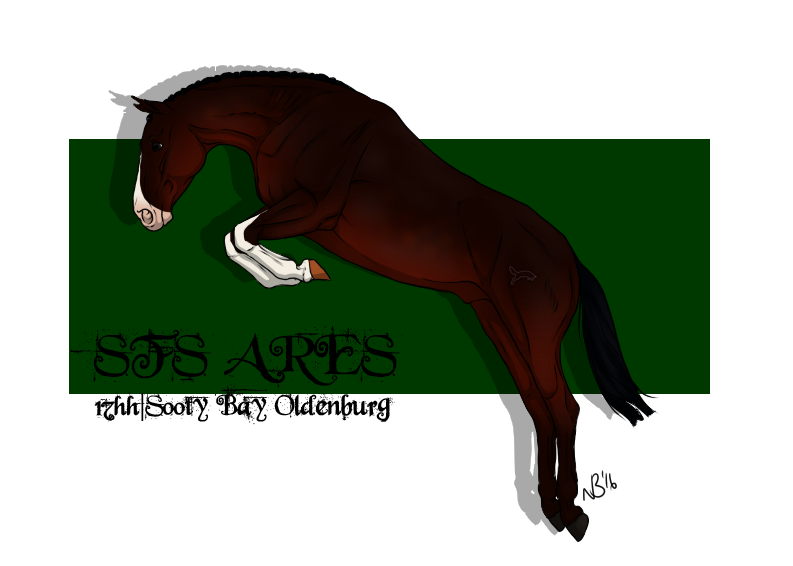 Ref Sheet Commission by necro-badger Ref Sheet Commission by necro-badger