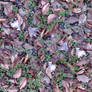 Old Leaves #2 Seamless