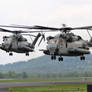 Super Stallion Duo