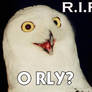 R.I.P o rly?