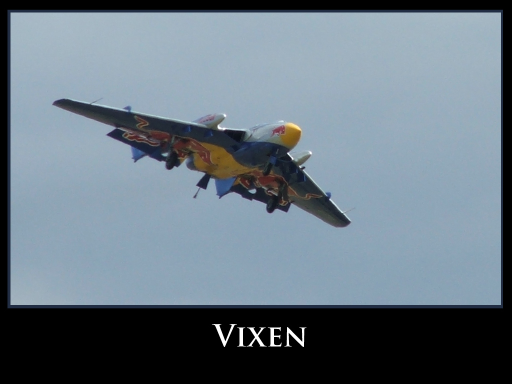 Vixen