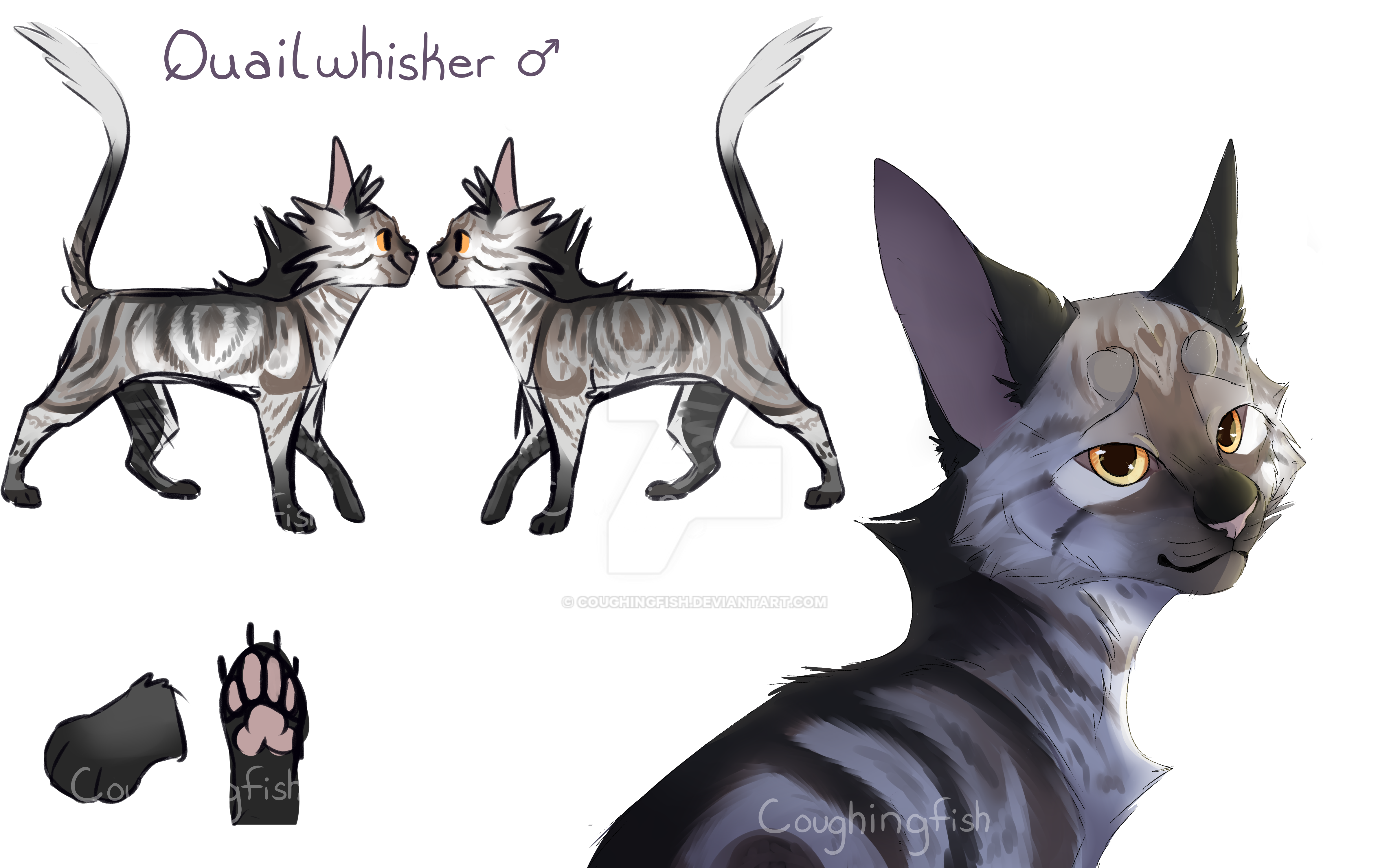 Quailwhisker Warrior Cat Oc Reference By CoughingFish On.