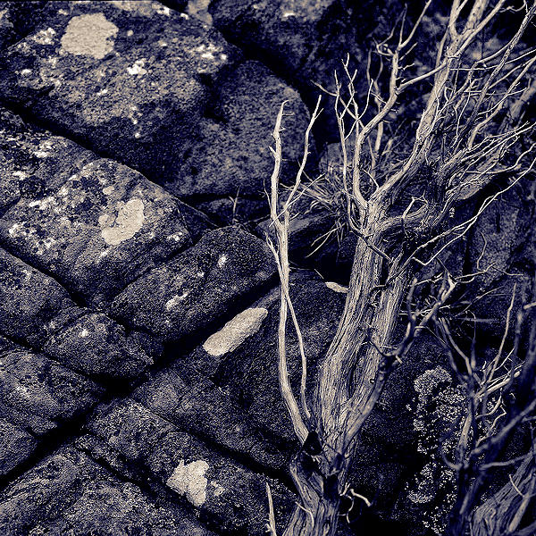 WORLDLY ESCAPE ARRAY by Orillion on DeviantArt