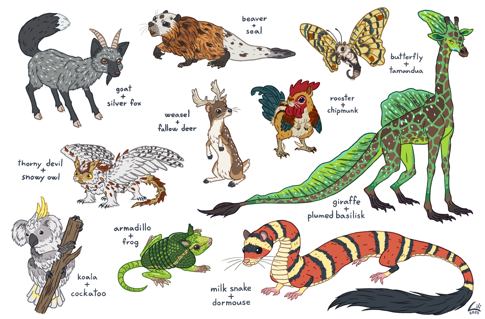 Random animals mixed together by Lili-Nyklova on DeviantArt