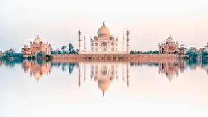 Taj reflection
