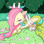 Fluttershy and Angel