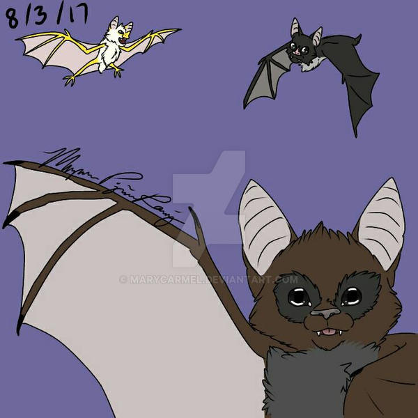 Colorful Bats Deviantart Bats by marycarmel on DeviantArt