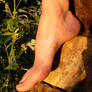 Mayas foot