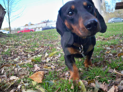 Jace at the park.