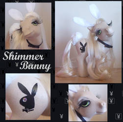 Shimmer Bunny the Pony