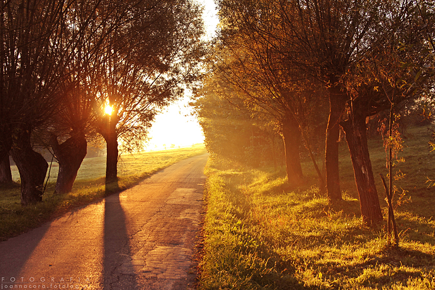 Village sunrise