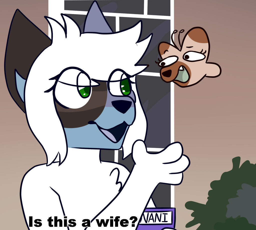 wife?