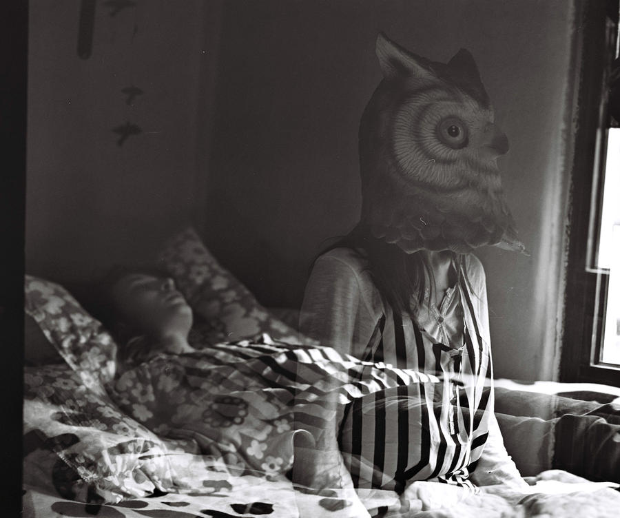 I woke up with the owl ...