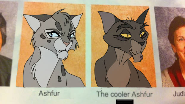 the cooler ashfur