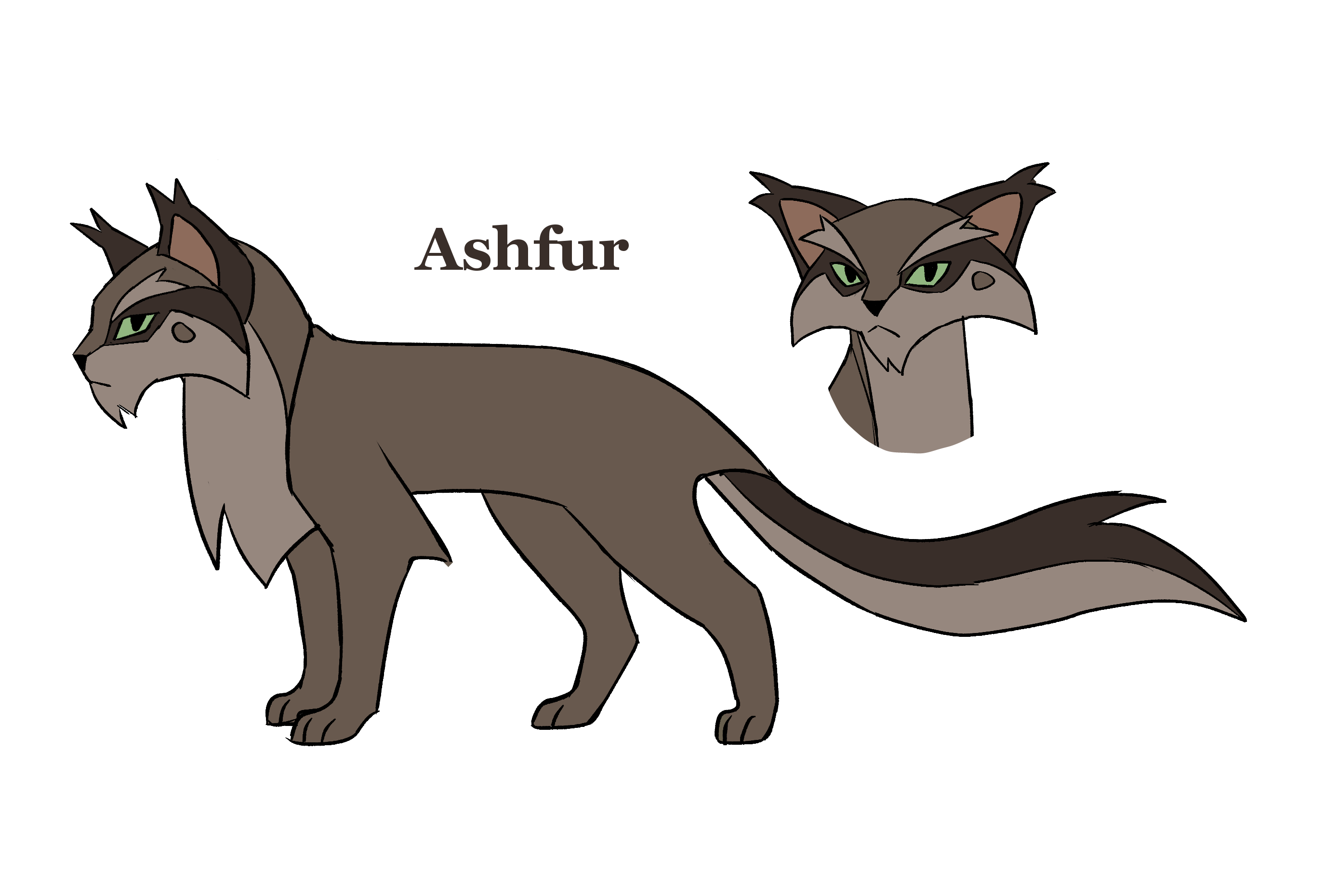 Nick's Warrior Cats Designs — the ultimate ashfur